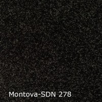 Montova-SDN 278